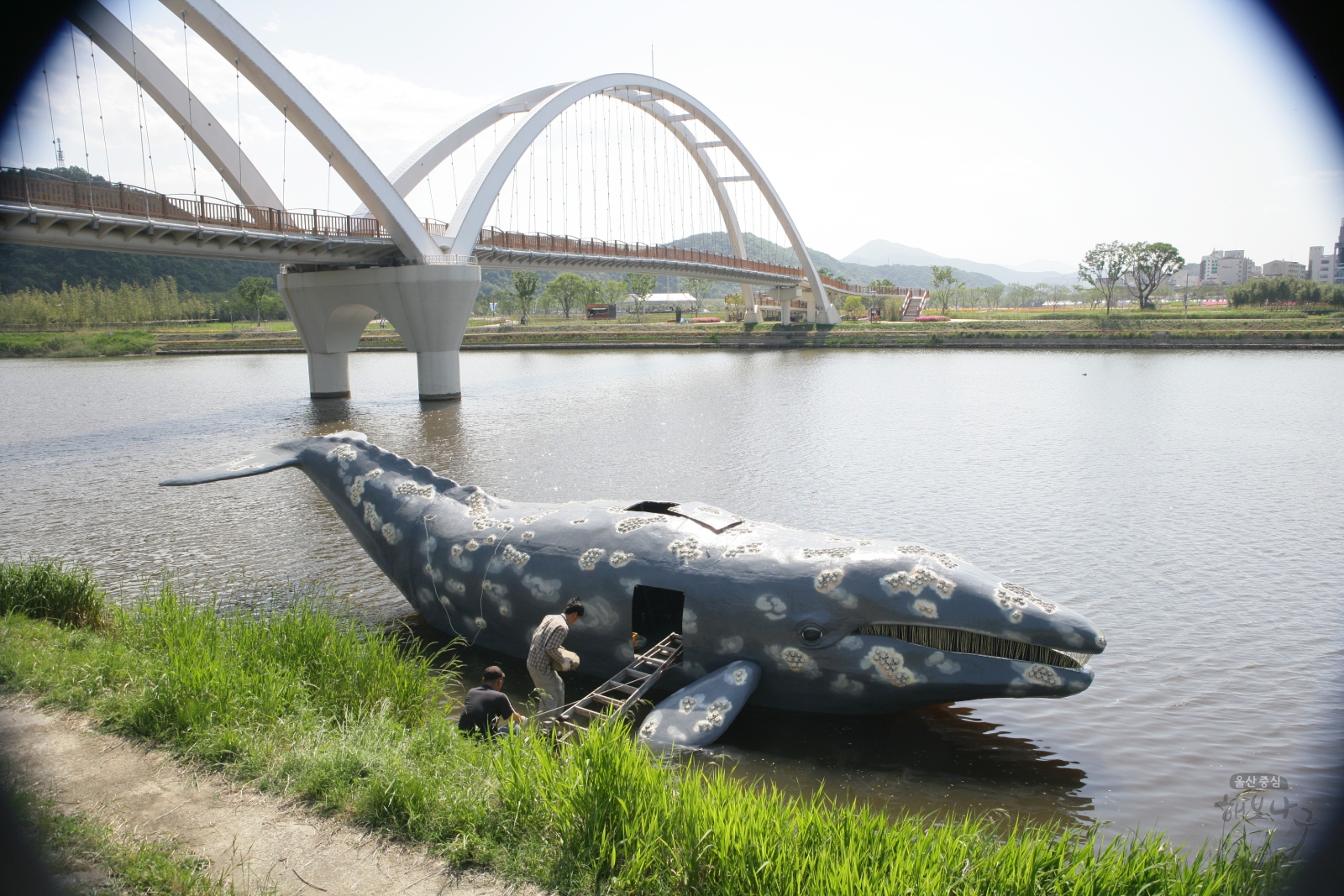 태화강국가정원 태화강 귀신고래 모형배 의 사진