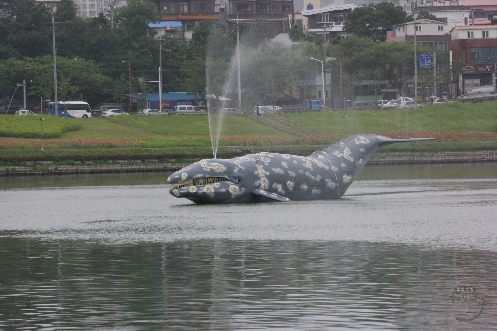 2011 울산고래축제 의 사진