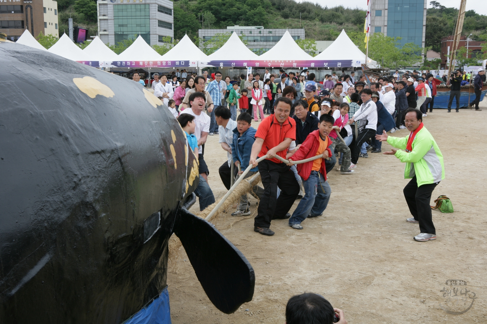 제13회 울산고래축제 고래줄당기기 의 사진