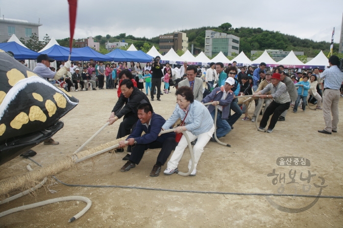 제13회 울산고래축제 고래줄당기기 의 사진