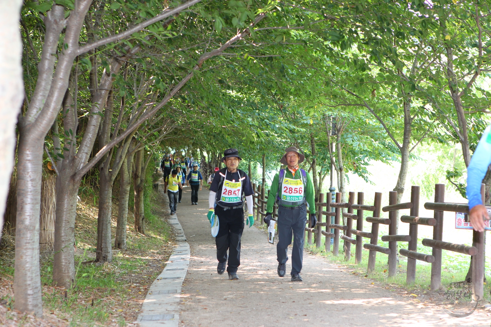 2012 남구사랑 솔마루길 걷기대회 의 사진
