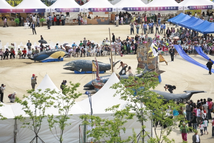 제13회 울산고래축제 전경 의 사진