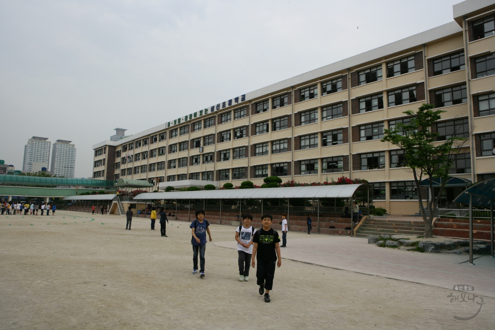 삼신초등학교 전경 의 사진