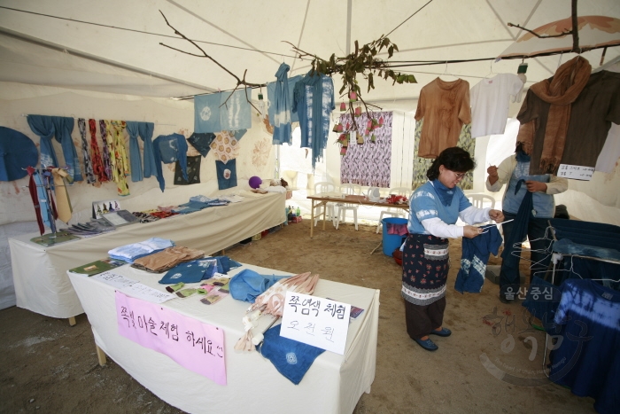 제13회 울산고래축제 홍보부스 의 사진