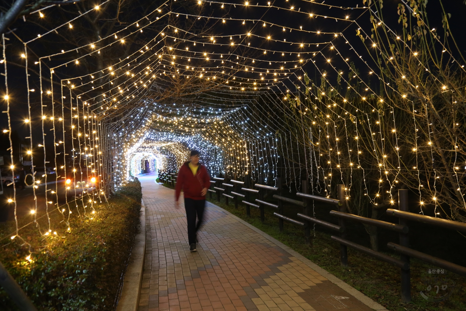 선암호수공원 크리스마스트리 점등행사 의 사진