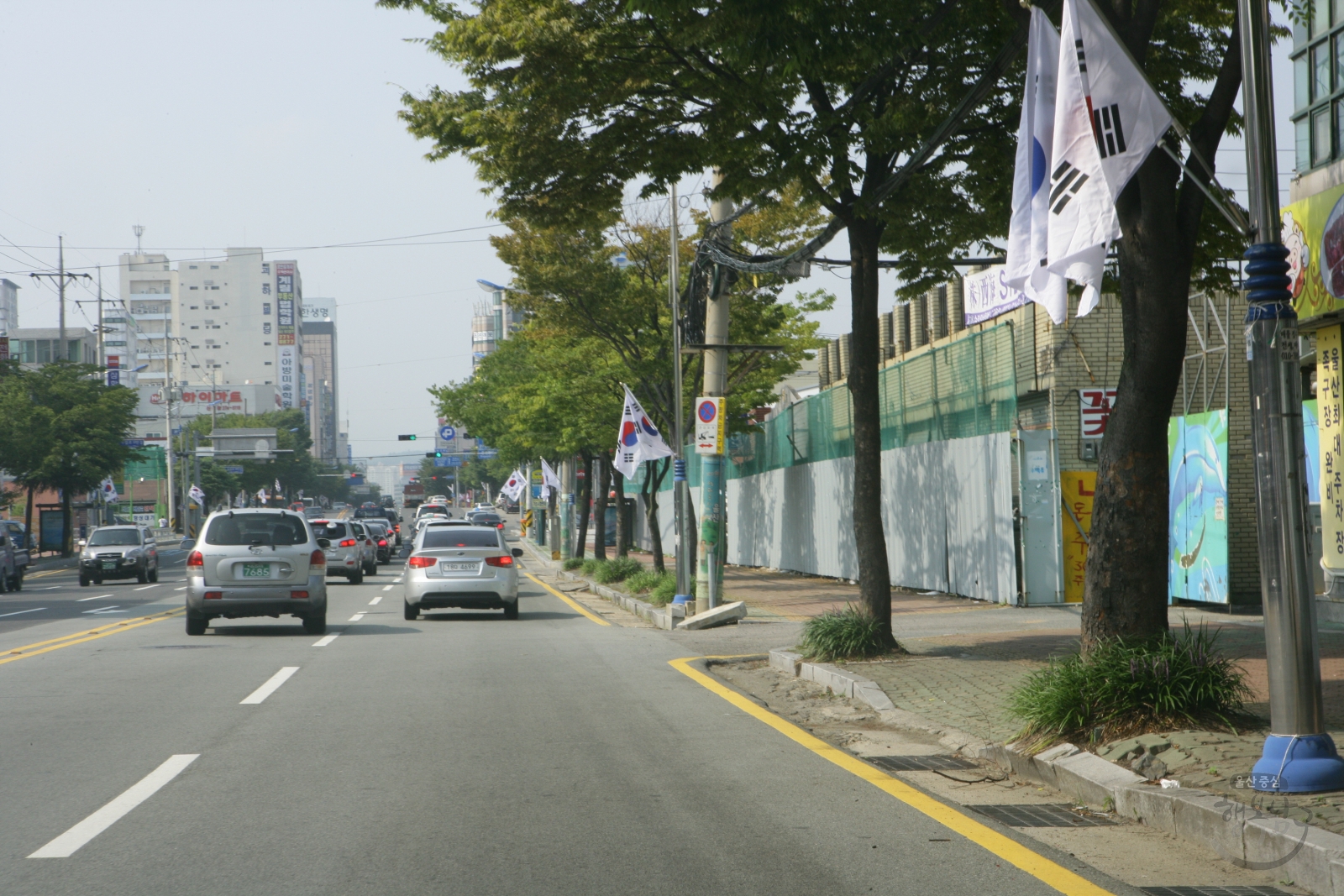 재66주년 광복절 태극기 달기 캠페인 의 사진