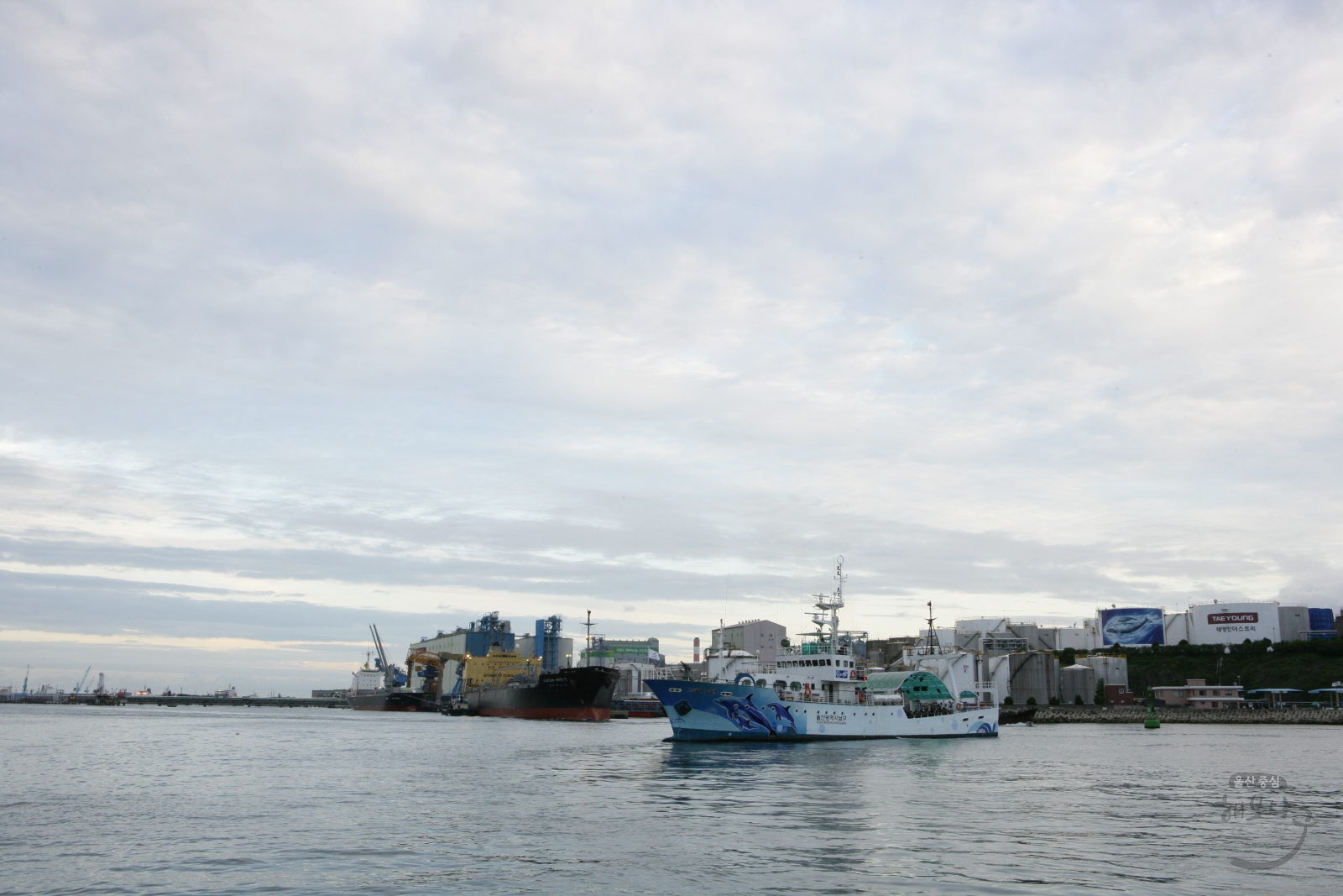 울산광역시 남구 중소기업협의회 고래바다여행선 체험 의 사진