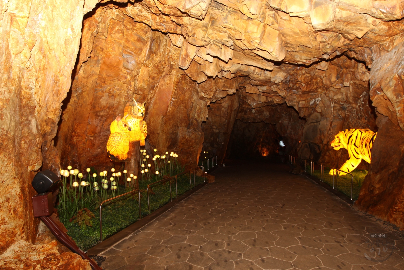 태화강국가정원 동굴피아 내부 전경 의 사진