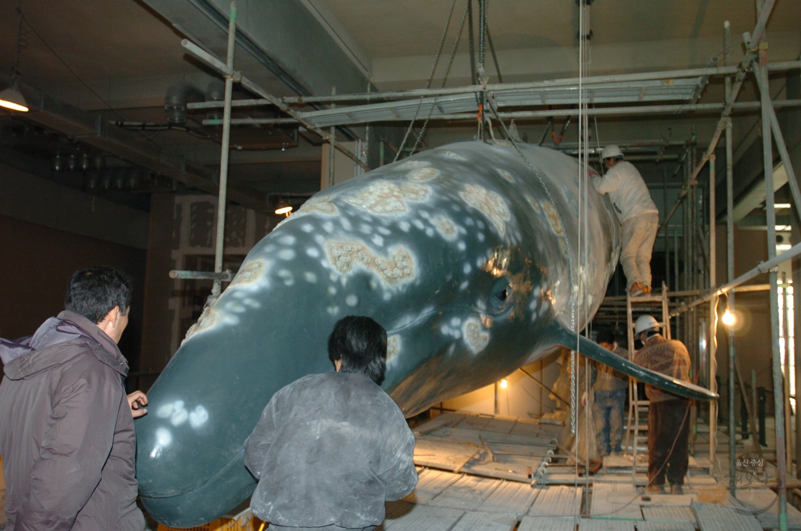 장생포고래박물관 건립추진상황 점검 보고회 의 사진