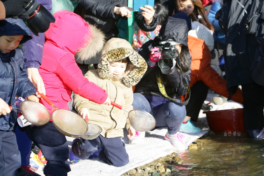 2015 태화강 어린연어 방류행사 의 사진