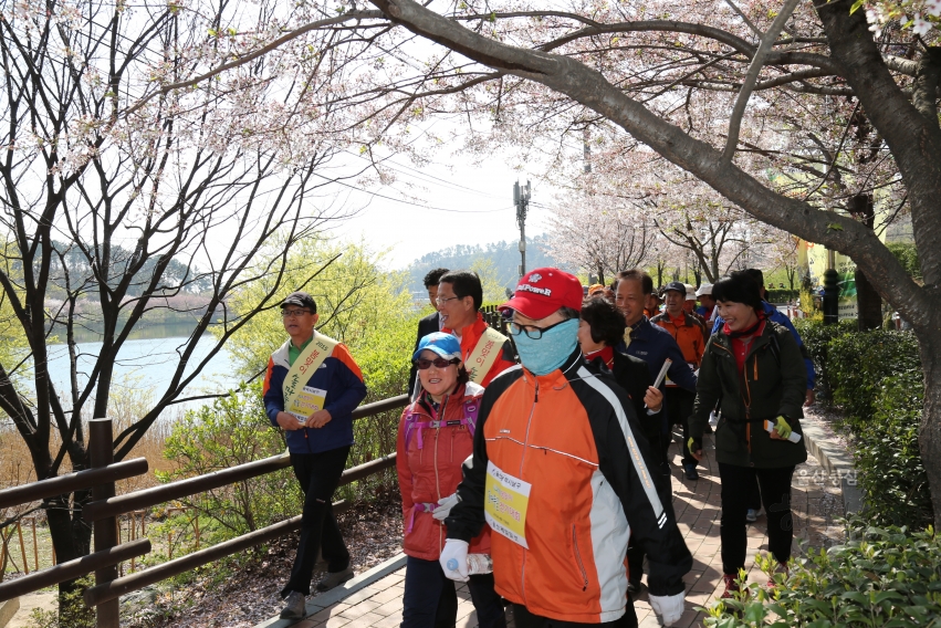 2015 봄맞이 솔마루길 걷기대회 의 사진