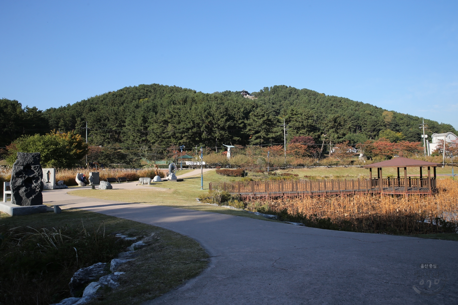 선암호수공원 전경 의 사진