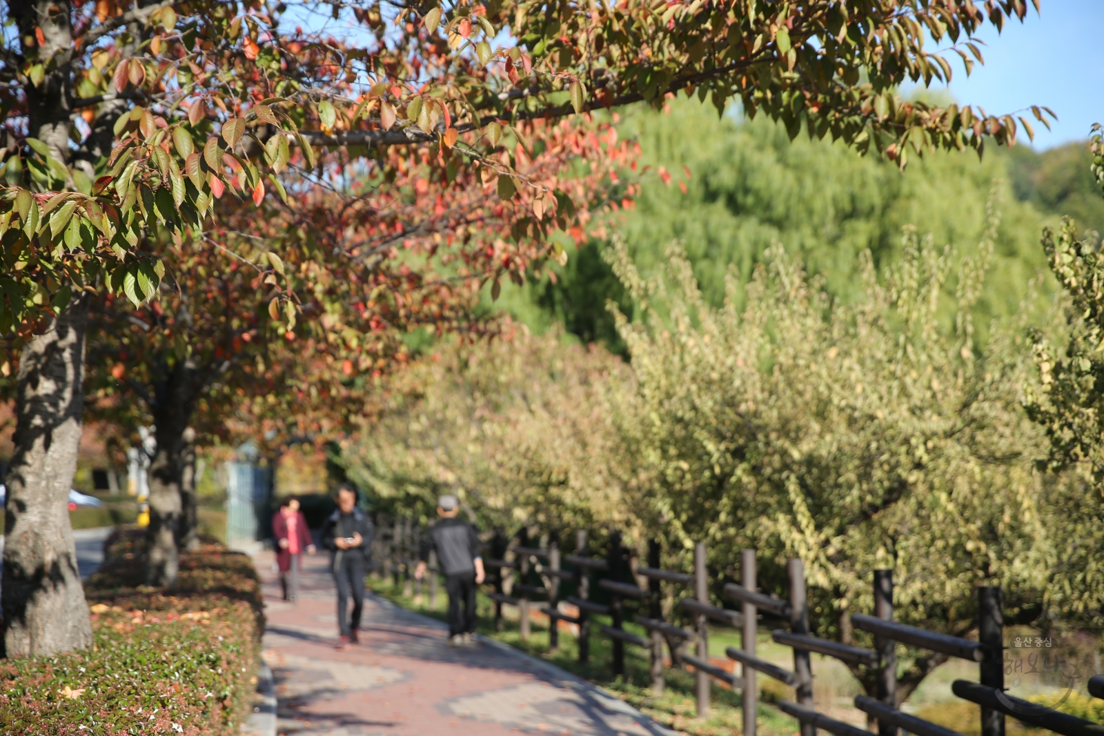 선암호수공원 전경 의 사진