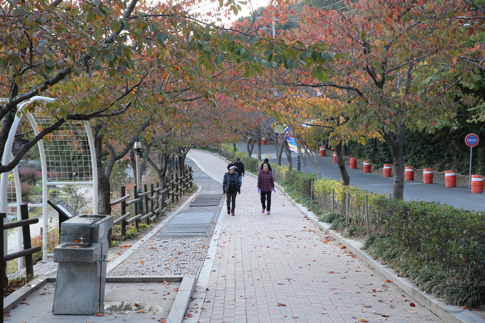 선암호수공원 전경 의 사진