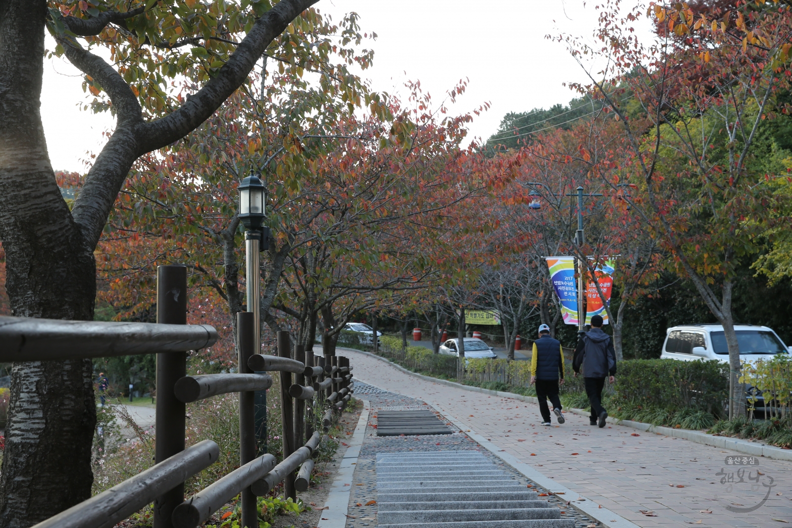 선암호수공원 전경 의 사진