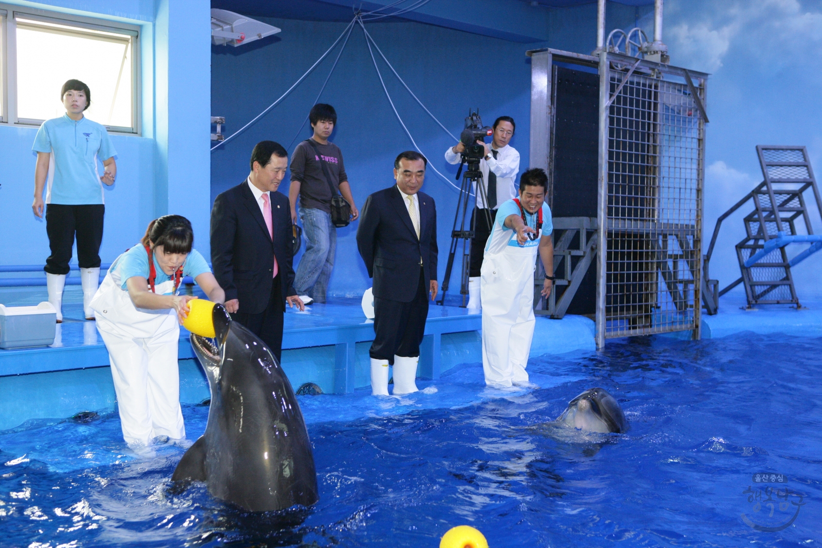 장생포고래생태체험관 돌고래공연 시연회 의 사진