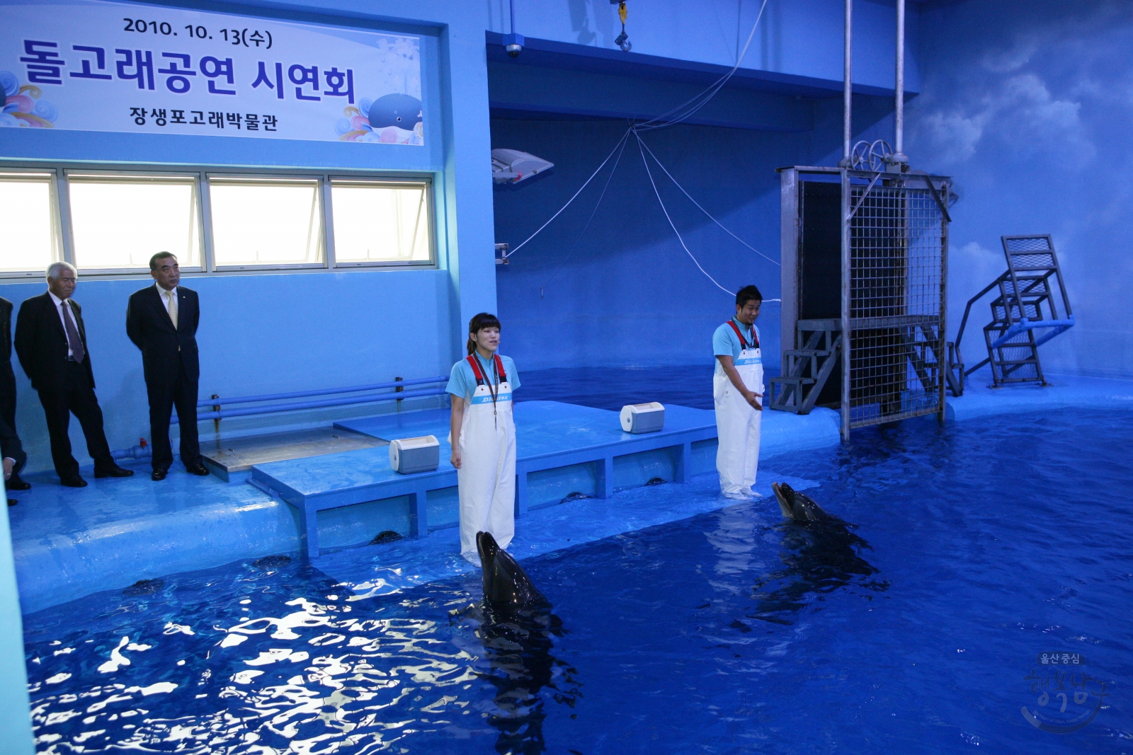 장생포고래생태체험관 돌고래공연 시연회 의 사진