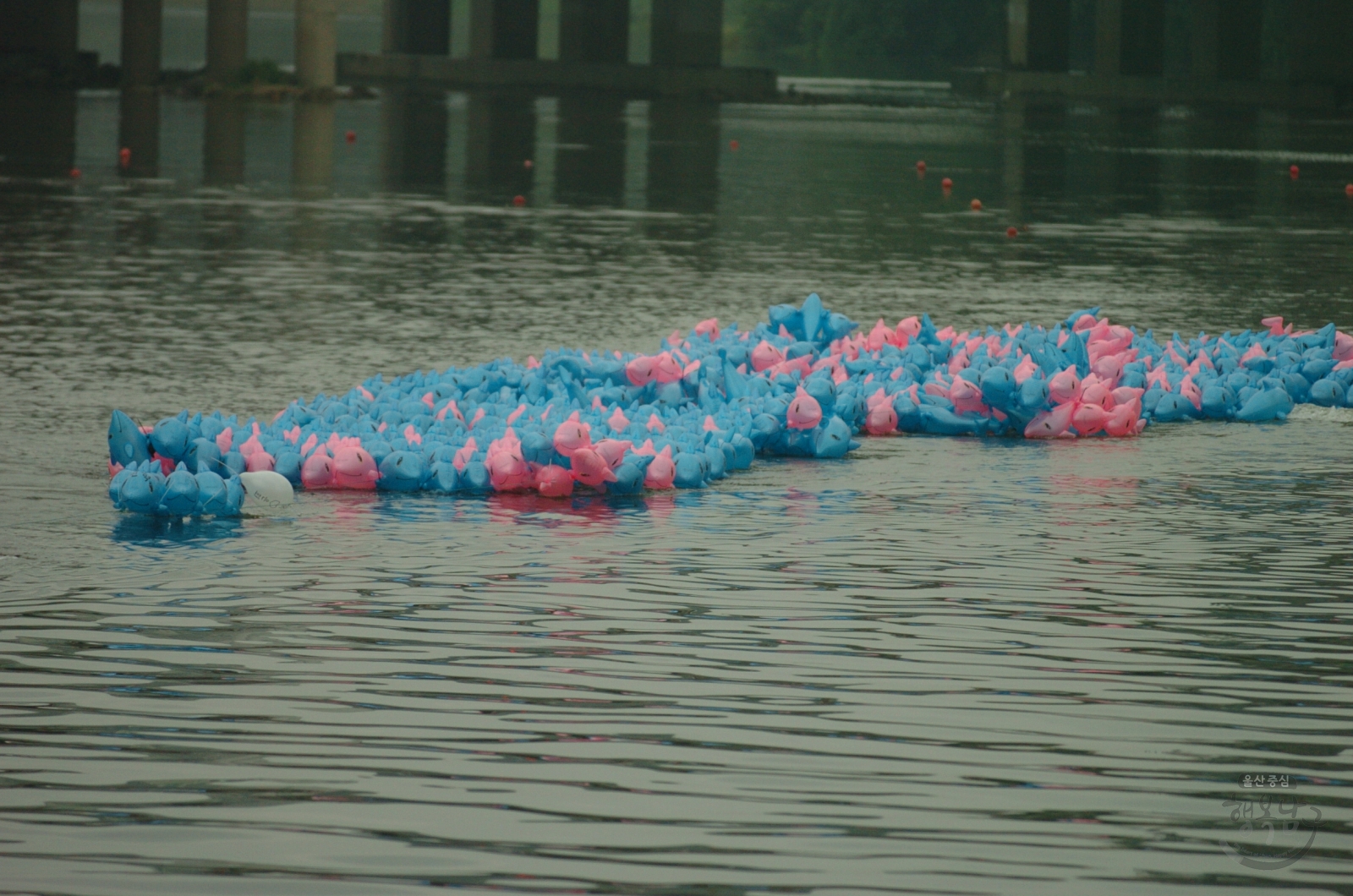 제12회 울산고래축제 전야제 의 사진