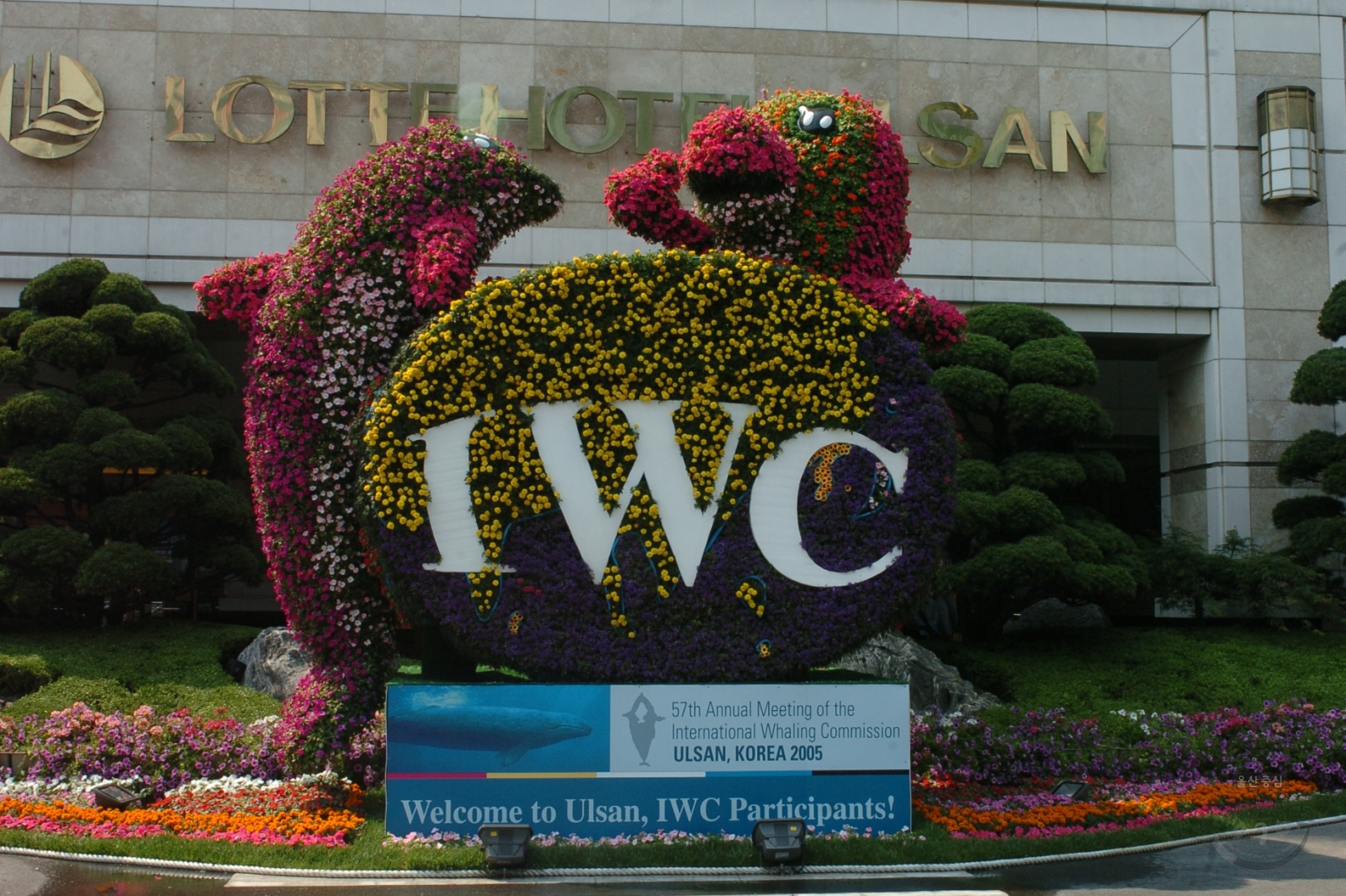IWC 조형물 의 사진