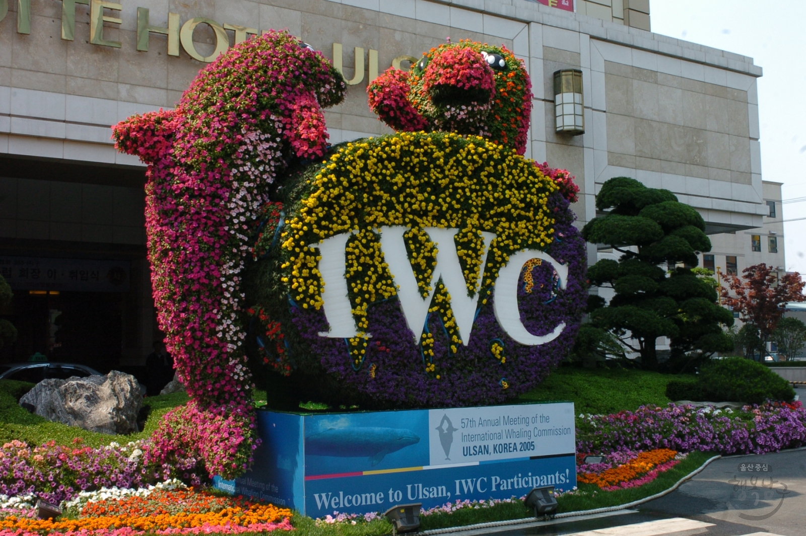 IWC 조형물 의 사진