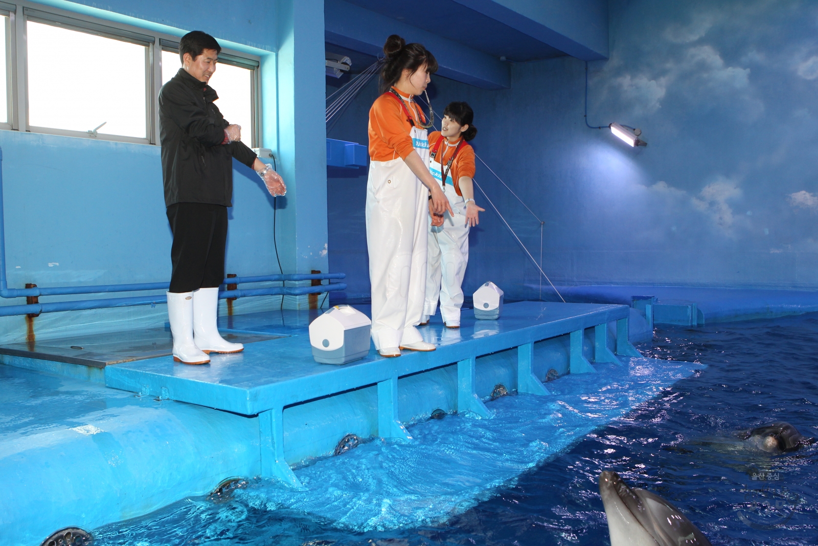 울산경찰청장 고래생태체험관 및 솔마루하늘길 방문 의 사진