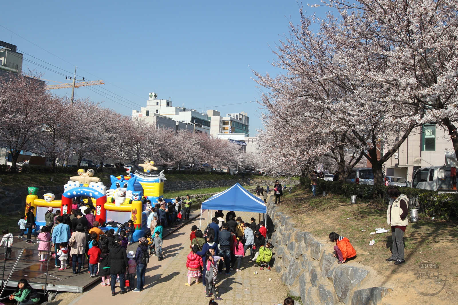 2012 궁거랑 벚꽃축제 의 사진