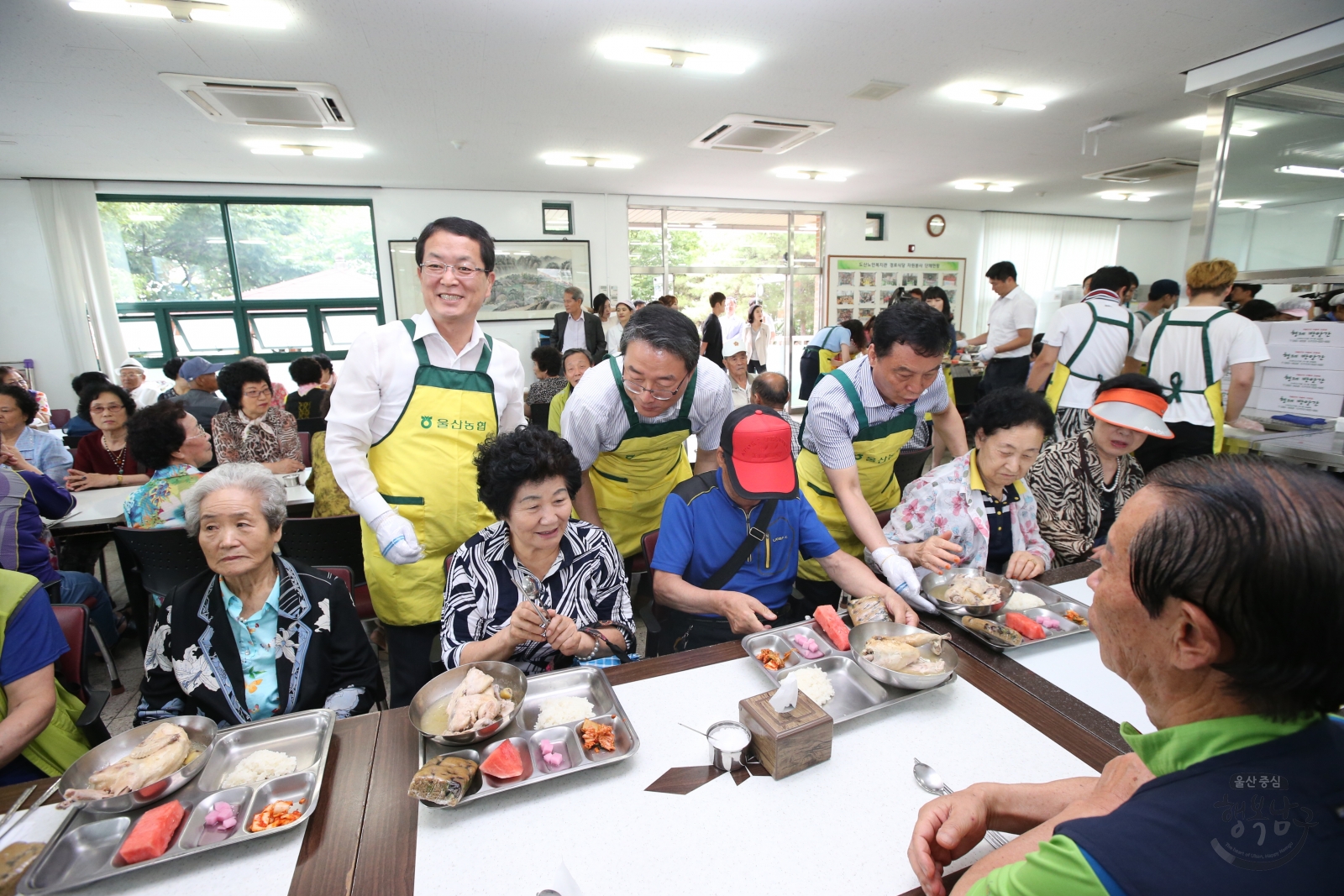 도산노인복지관 어르신 삼계탕 나눔행사 의 사진