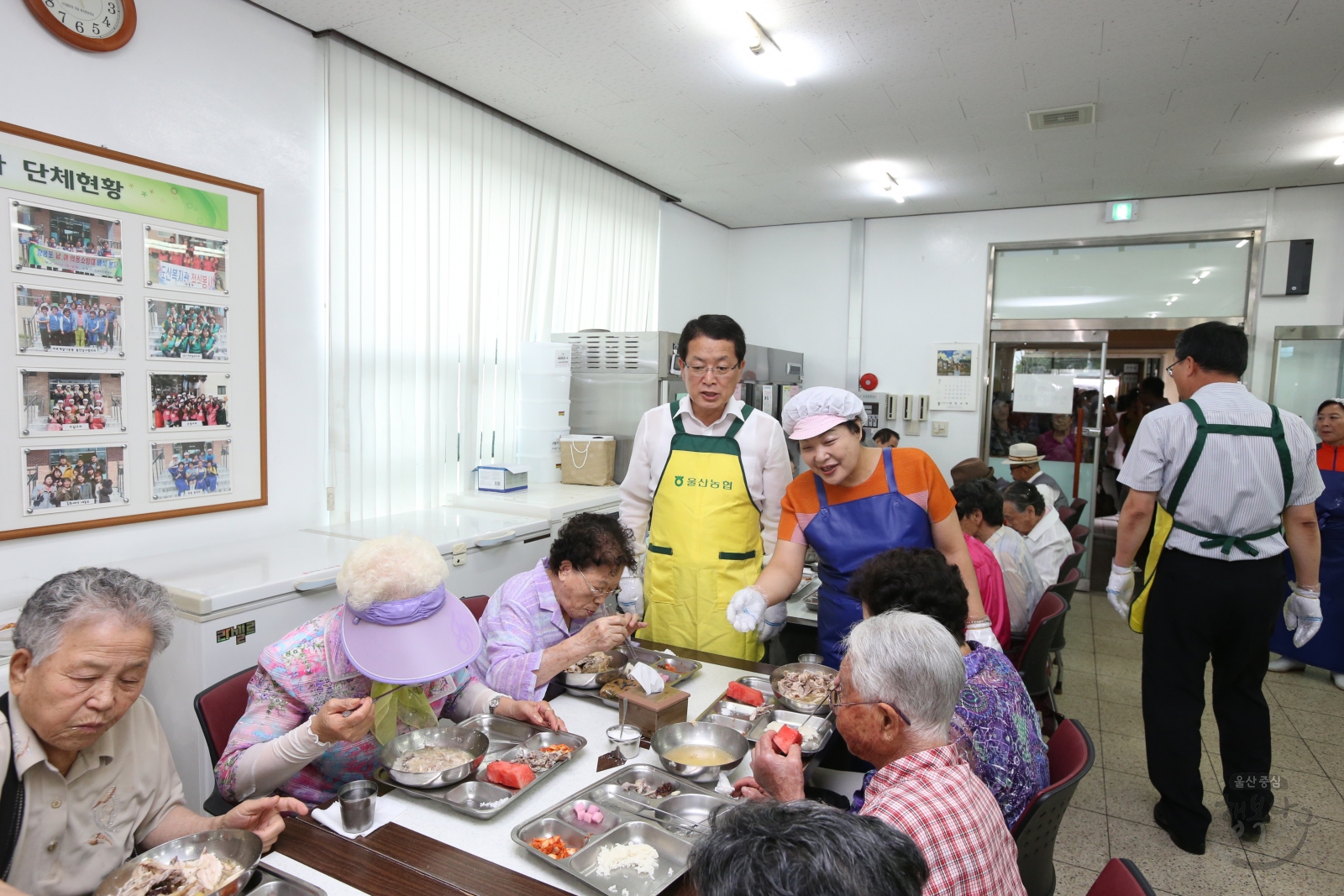 도산노인복지관 어르신 삼계탕 나눔행사 의 사진