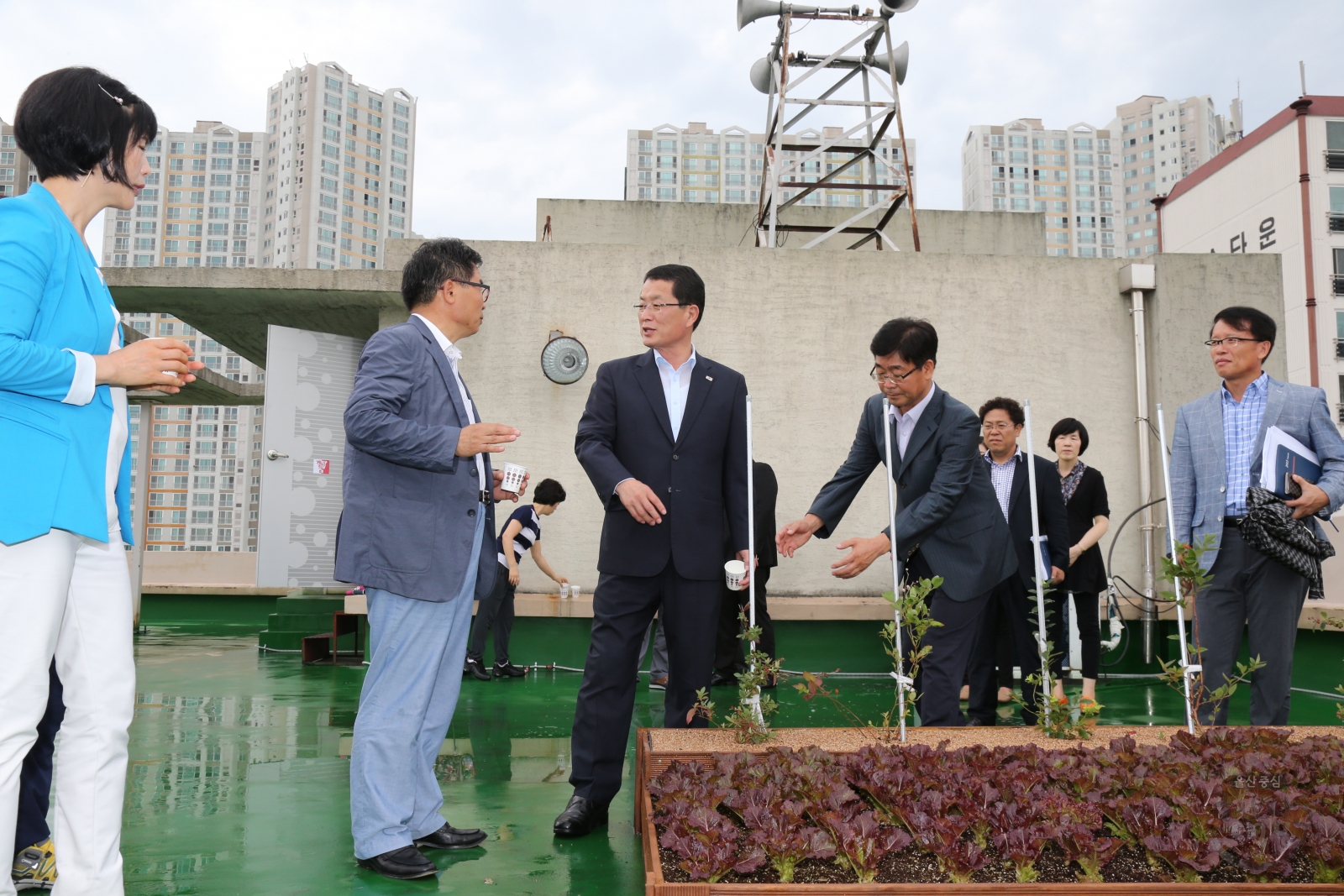 가온누리 행복텃밭 오픈식 의 사진