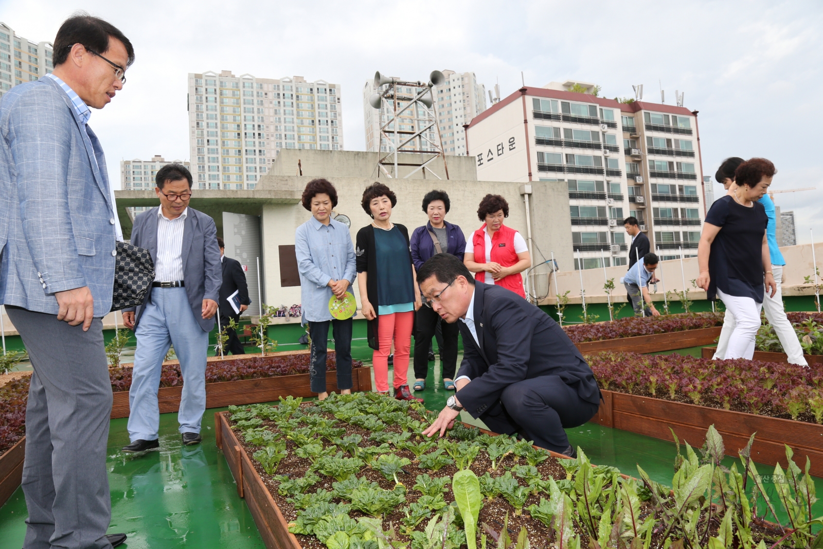 가온누리 행복텃밭 오픈식 의 사진