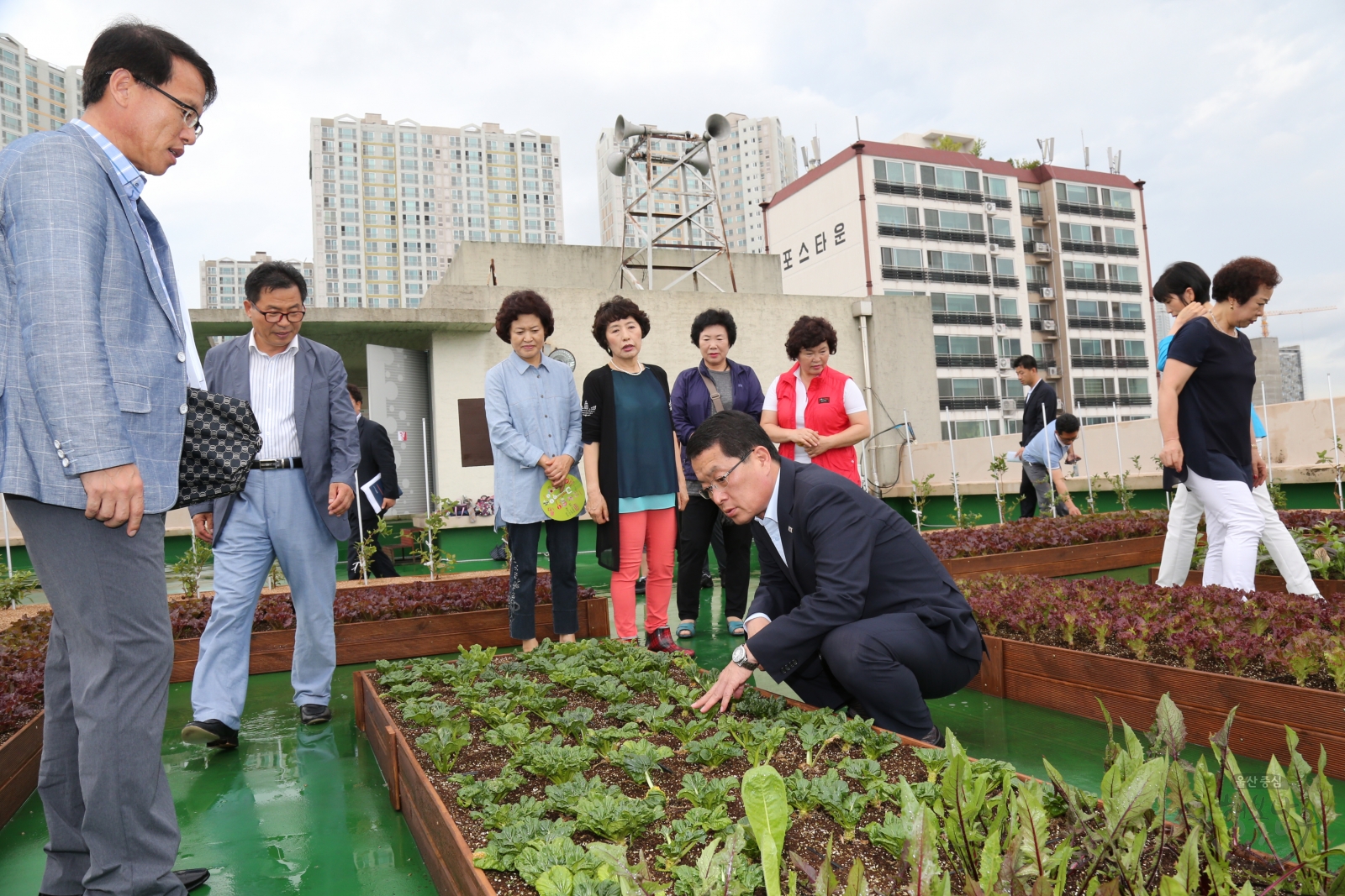 가온누리 행복텃밭 오픈식 의 사진