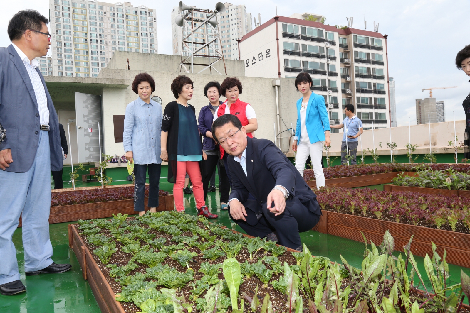 가온누리 행복텃밭 오픈식 의 사진