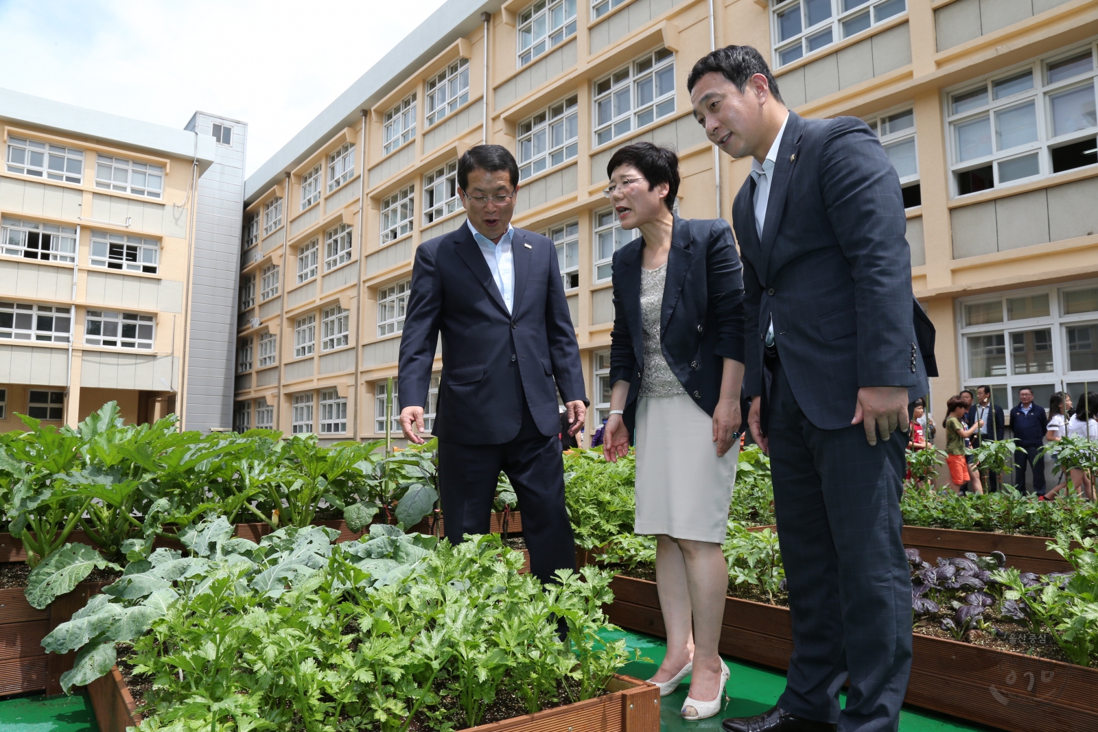 가온누리 행복텃밭 오픈식 의 사진