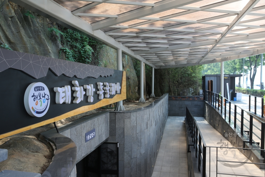 부구청장 태화강 동굴피아 현장 방문 의 사진