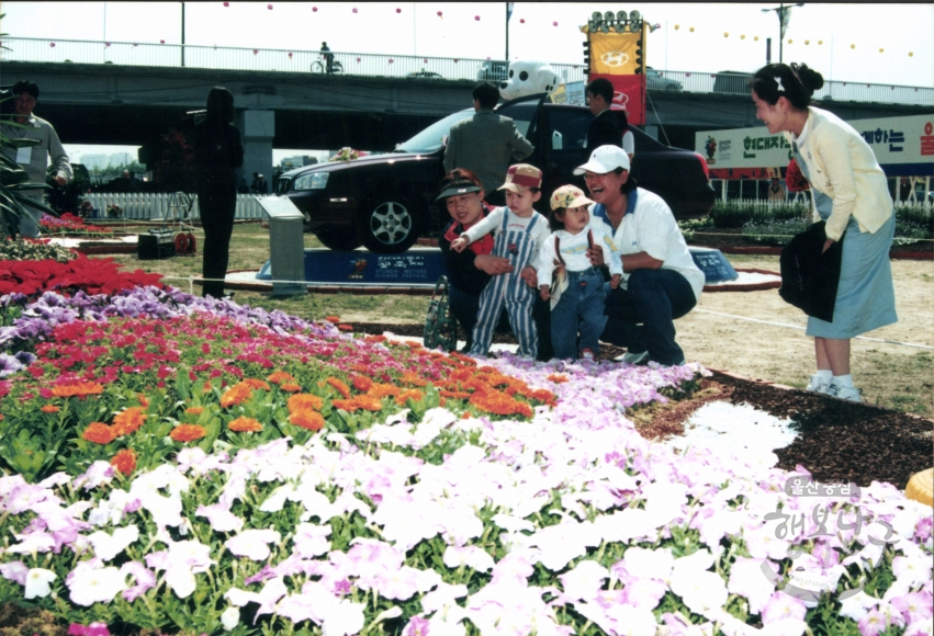 태화강둔치 꽃축제 의 사진