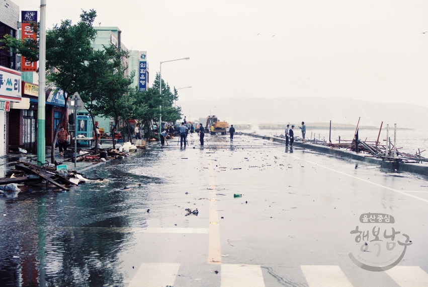 태풍 사오마이 피해지역순찰(장생포 해안도로) 의 사진