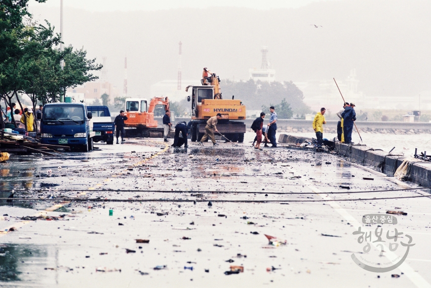 태풍 사오마이 피해지역순찰(장생포 해안도로) 의 사진