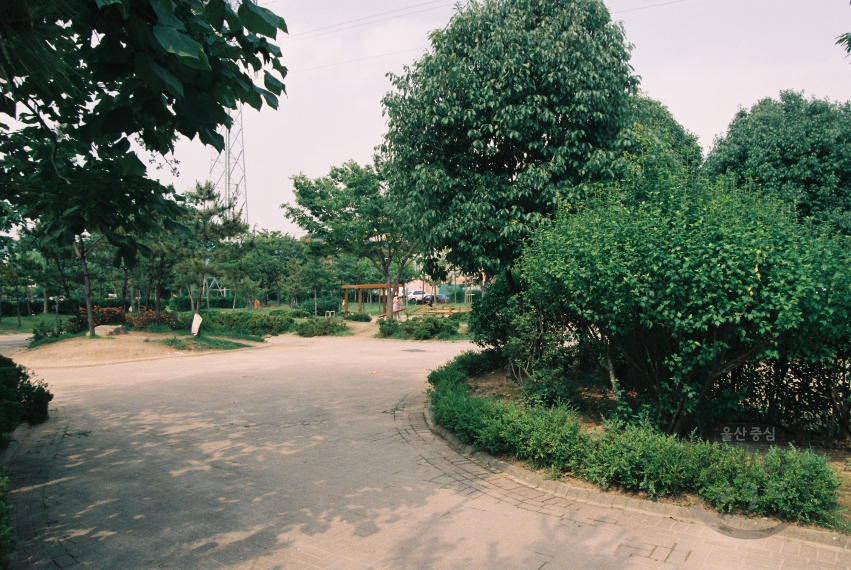 무거1동 와와공원, 신정1동 푸른공원 의 사진