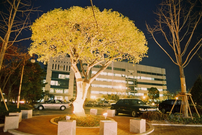 남구청 광장 야경 의 사진