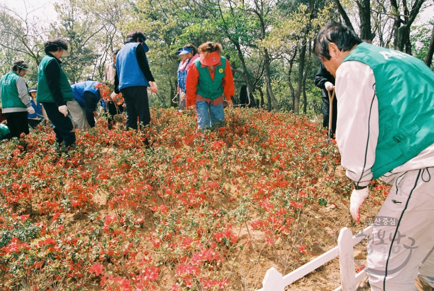 남산체육공원 꽃동산 조성 (신정1동) 의 사진
