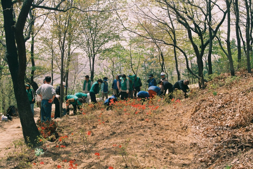 남산체육공원 꽃동산 조성 (신정1동) 의 사진
