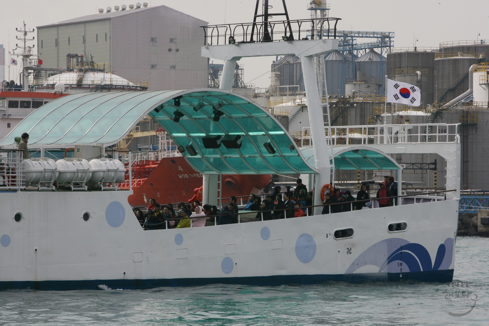 2010년 고래바다여행선 첫출항 의 사진