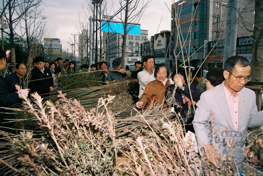 2003년 나무 나누어주기 행사 의 사진