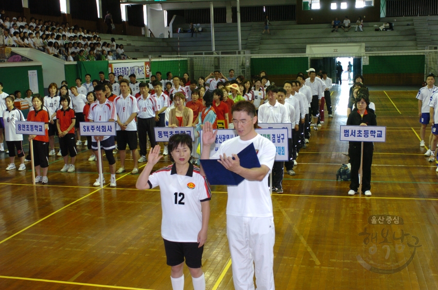 남구청장기 배구대회 겸 남구 생활체육협의회장배 학교별 어머니 배구대회 의 사진