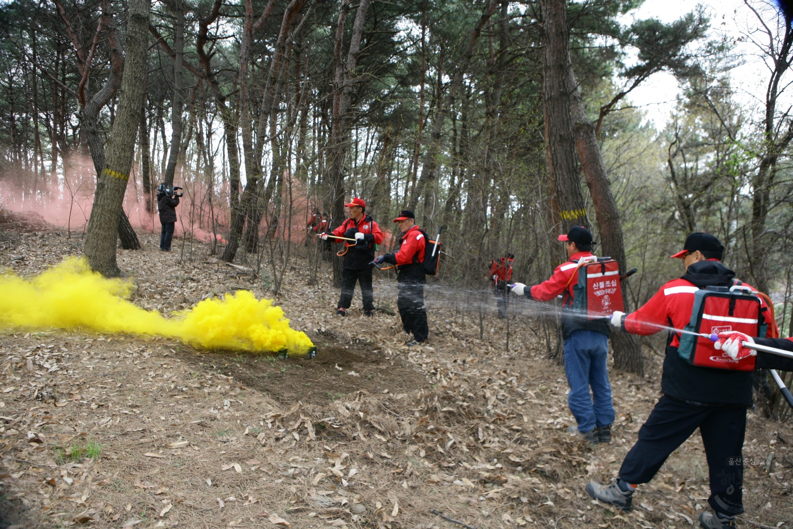 2010봄철대비 산불진화훈련 의 사진