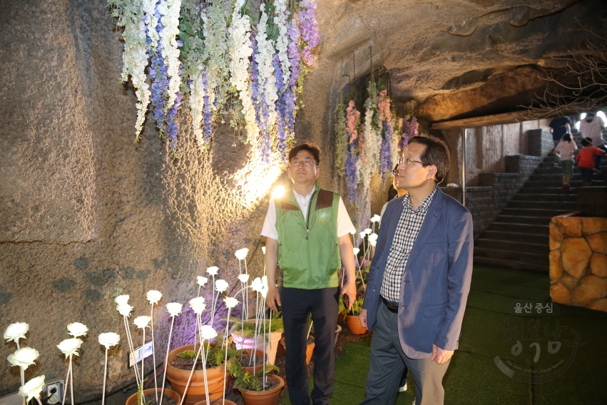 부구청장 태화강 동굴피아 현장 방문 의 사진