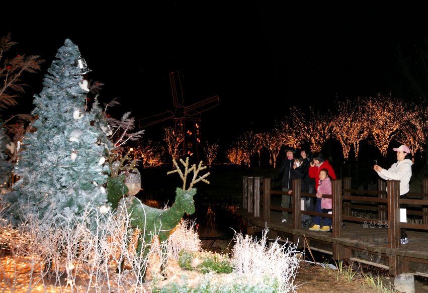 울산대공원 크리스마스트리 의 사진