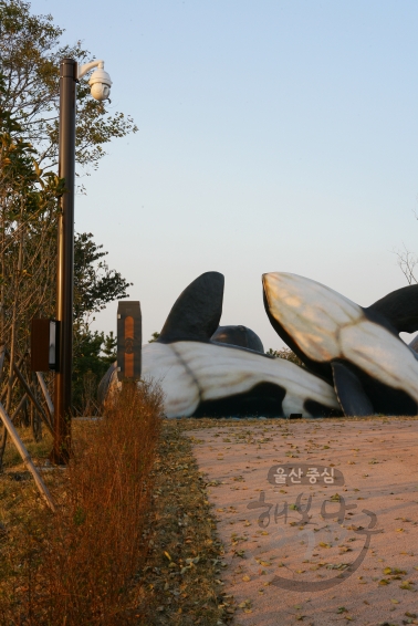 고래문화마을 조성모습 의 사진