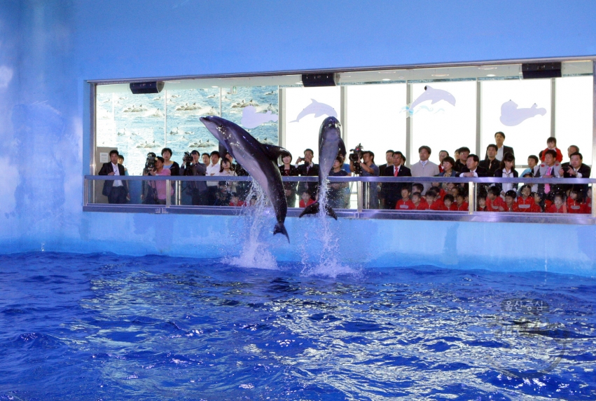 고래생태체험관 돌고래공연 시연회 의 사진
