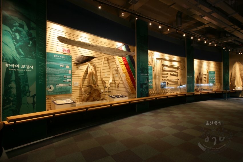장생포고래박물관 전시실 의 사진